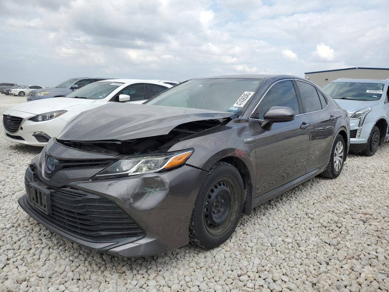 2019 Toyota Camry VIN 4T1B31HK0KU517947
