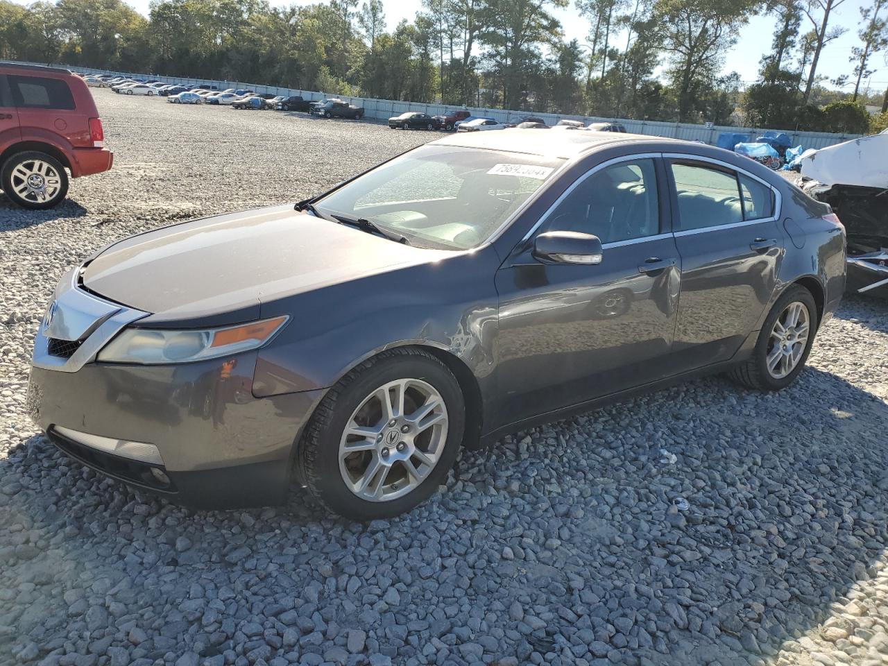 2009 Acura TL VIN 19UUA86209A005522