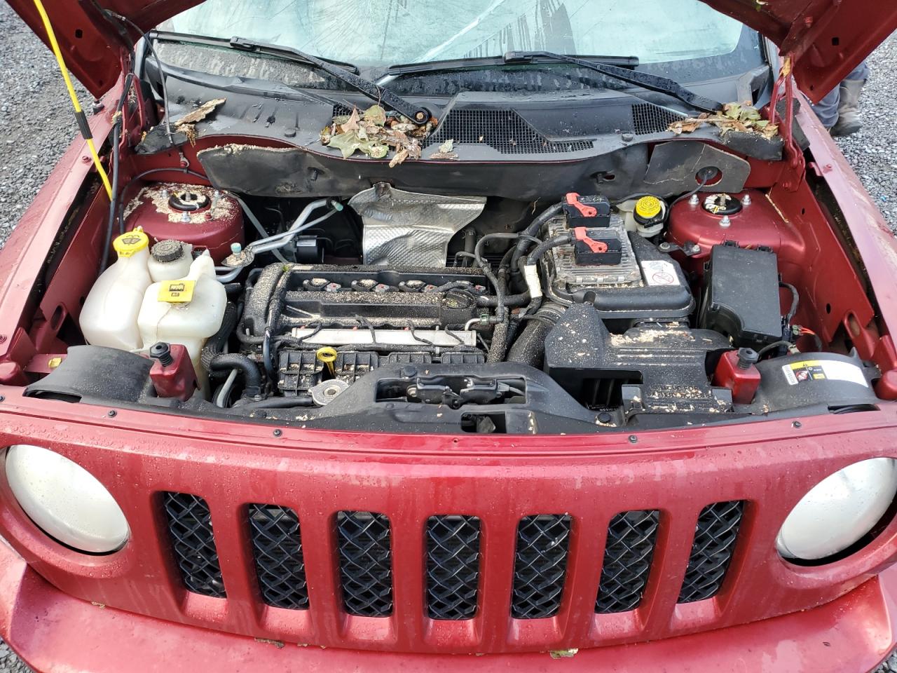 2014 Jeep Liberty (Patriot) VIN 1C4NJPBA4ED690207 Copart auction photo, top/roof damage thumbnail 11