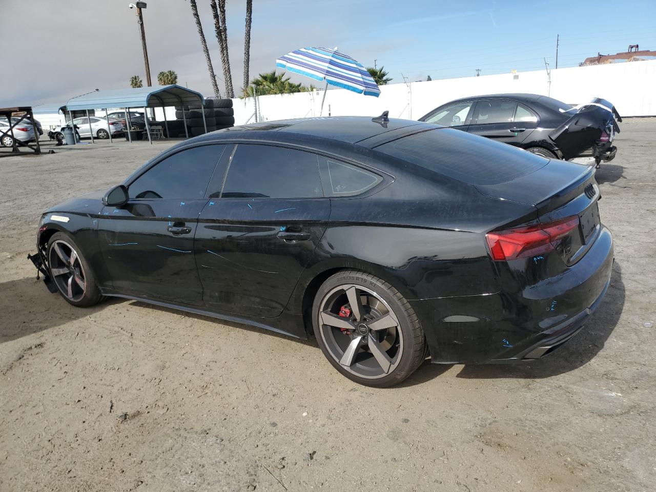 2023 Audi A5 VIN WAUFACF56PA061138 Copart auction photo, front end / minor dent/scratches damage thumbnail 2