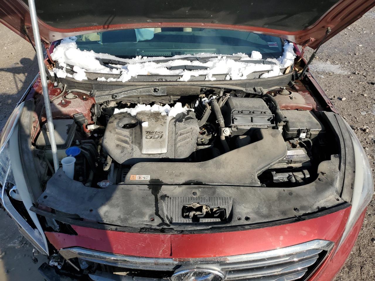 2016 Hyundai Sonata VIN 5NPE24AA4GH428472 Copart auction photo, front end / minor dent/scratches damage thumbnail 11