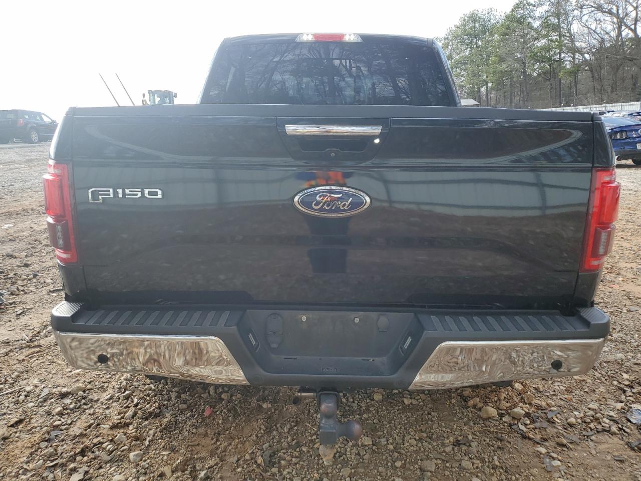 2016 Ford F-150 VIN 1FTEW1EG9GFD38441 Copart auction photo, front end damage thumbnail 6