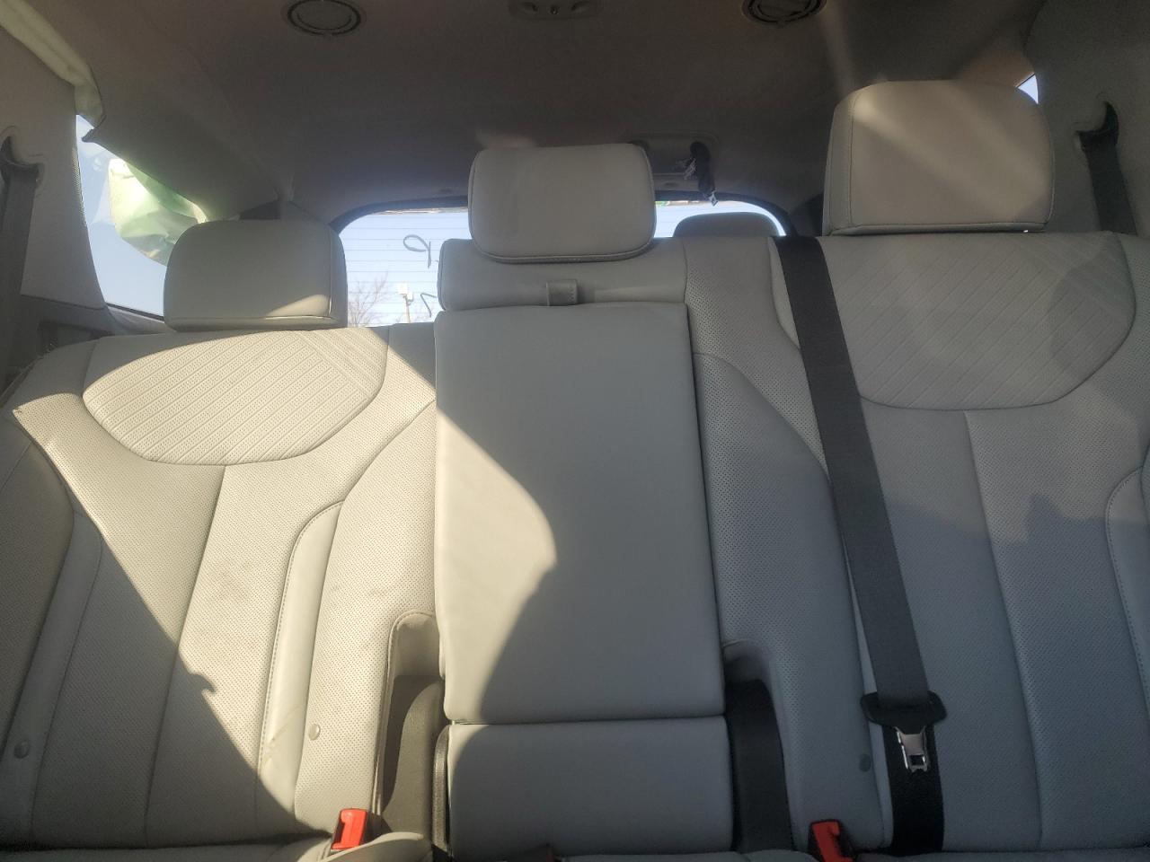 2024 Hyundai Palisade VIN KM8R4DGE3RU669191 Copart auction photo, side / minor dent/scratches damage thumbnail 10