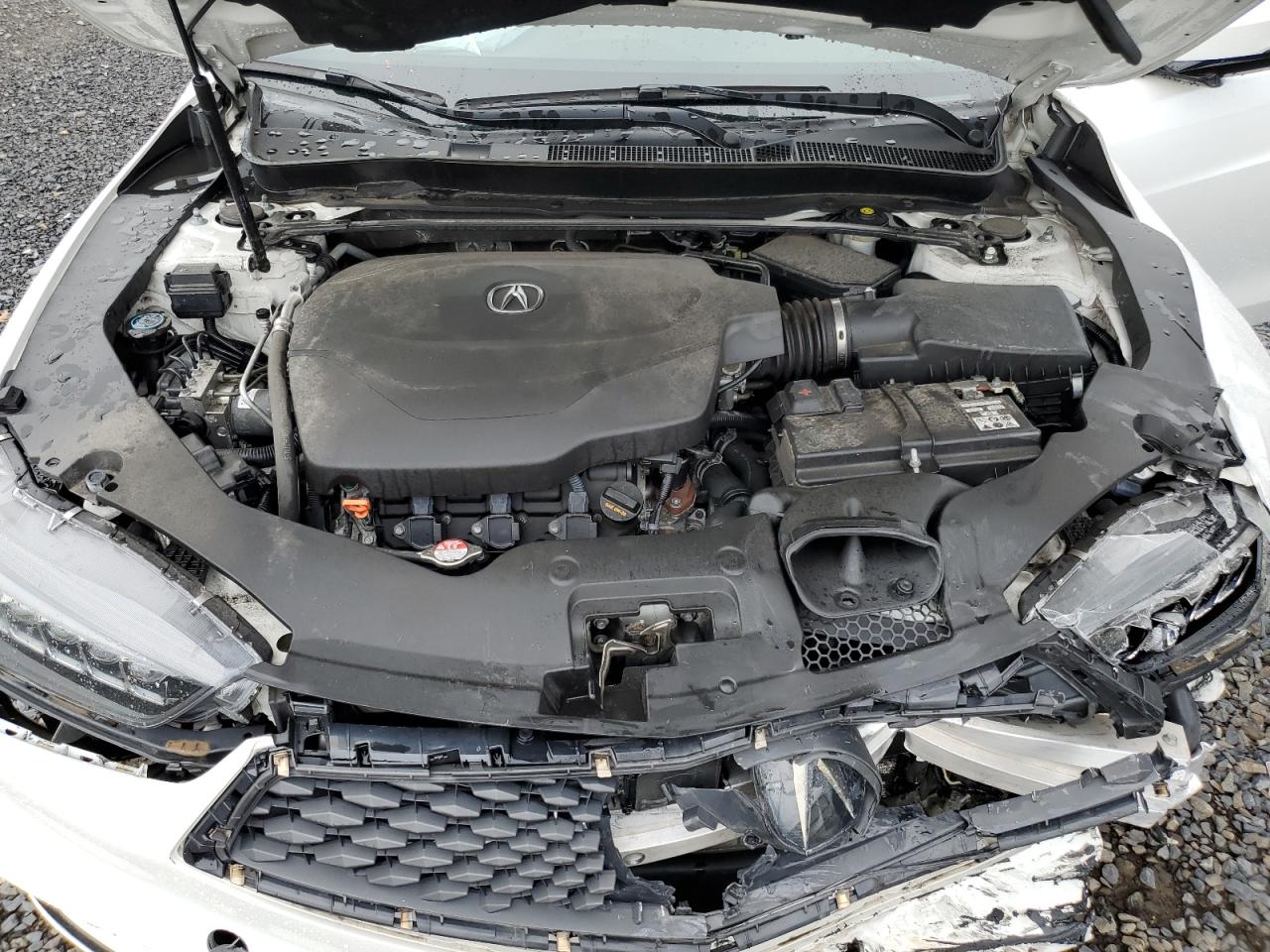 2019 Acura TLX VIN 19UUB3F66KA002178 Copart auction photo, front end damage thumbnail 12
