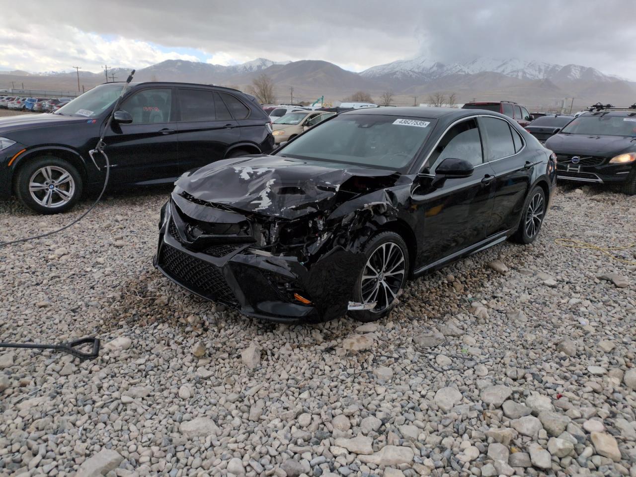 2019 Toyota Camry VIN 4T1B11HK4KU715534 - Copart auction photo
