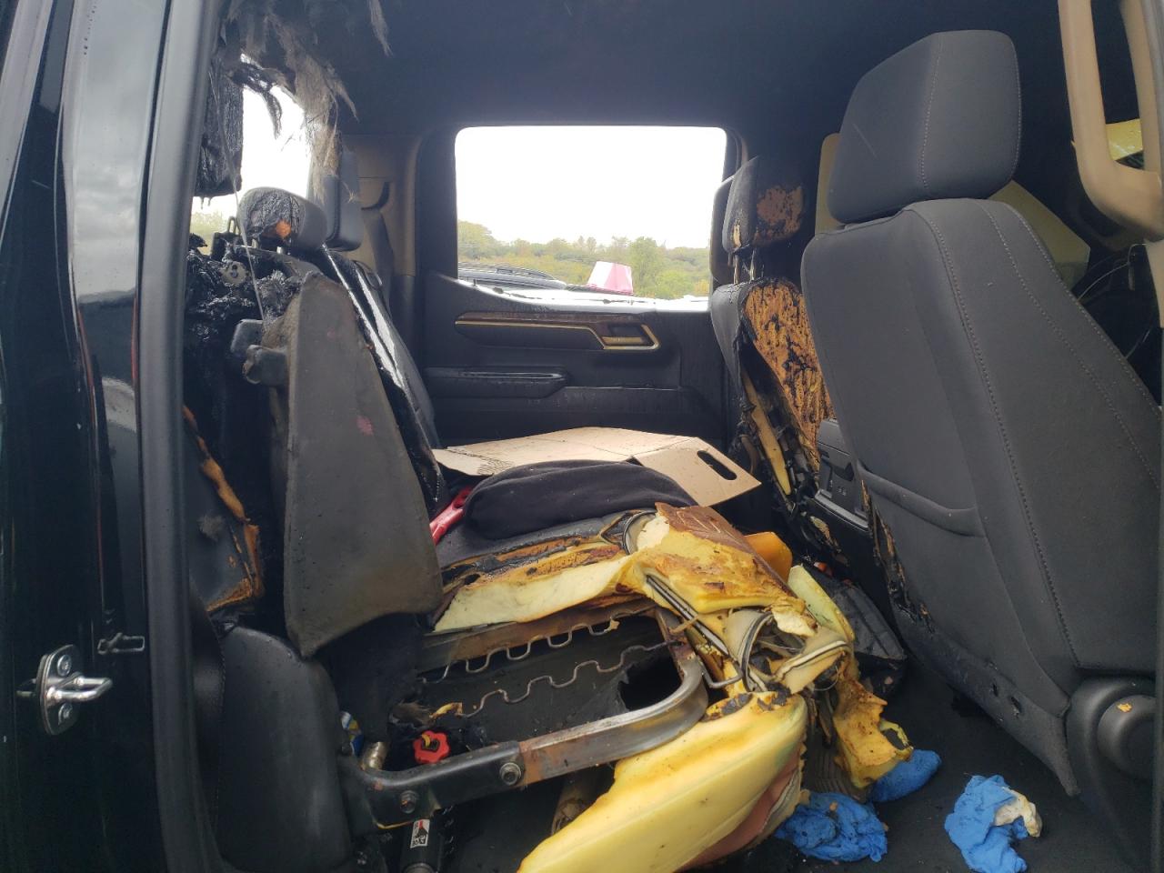 2023 Chevrolet Silverado VIN 1GCUDEED1PZ119101 Copart auction photo, burn - interior damage thumbnail 10