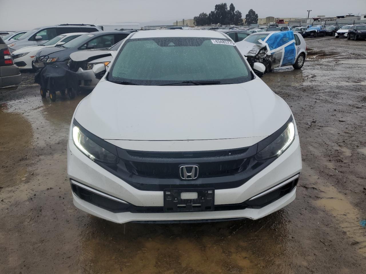 2021 Honda Civic VIN 2HGFC2F63MH533200 Copart auction photo, rear end / side damage thumbnail 5
