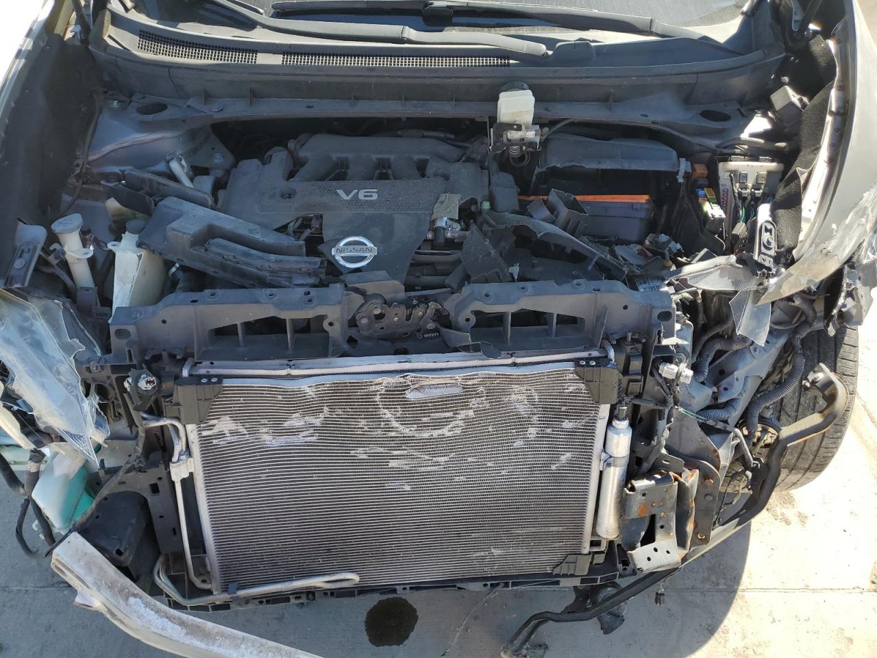 2014 Nissan Murano VIN JN8AZ1MU8EW413676 Copart auction photo, biohazard/chemical / hail damage thumbnail 12