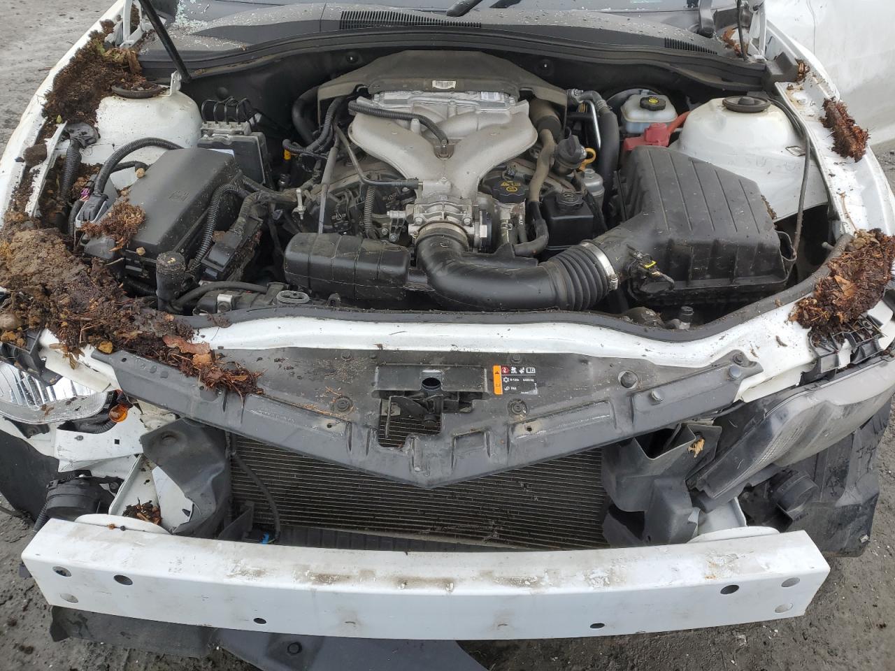 2011 Chevrolet Camaro VIN 2G1FB1ED0B9197159 Copart auction photo, all over damage thumbnail 11
