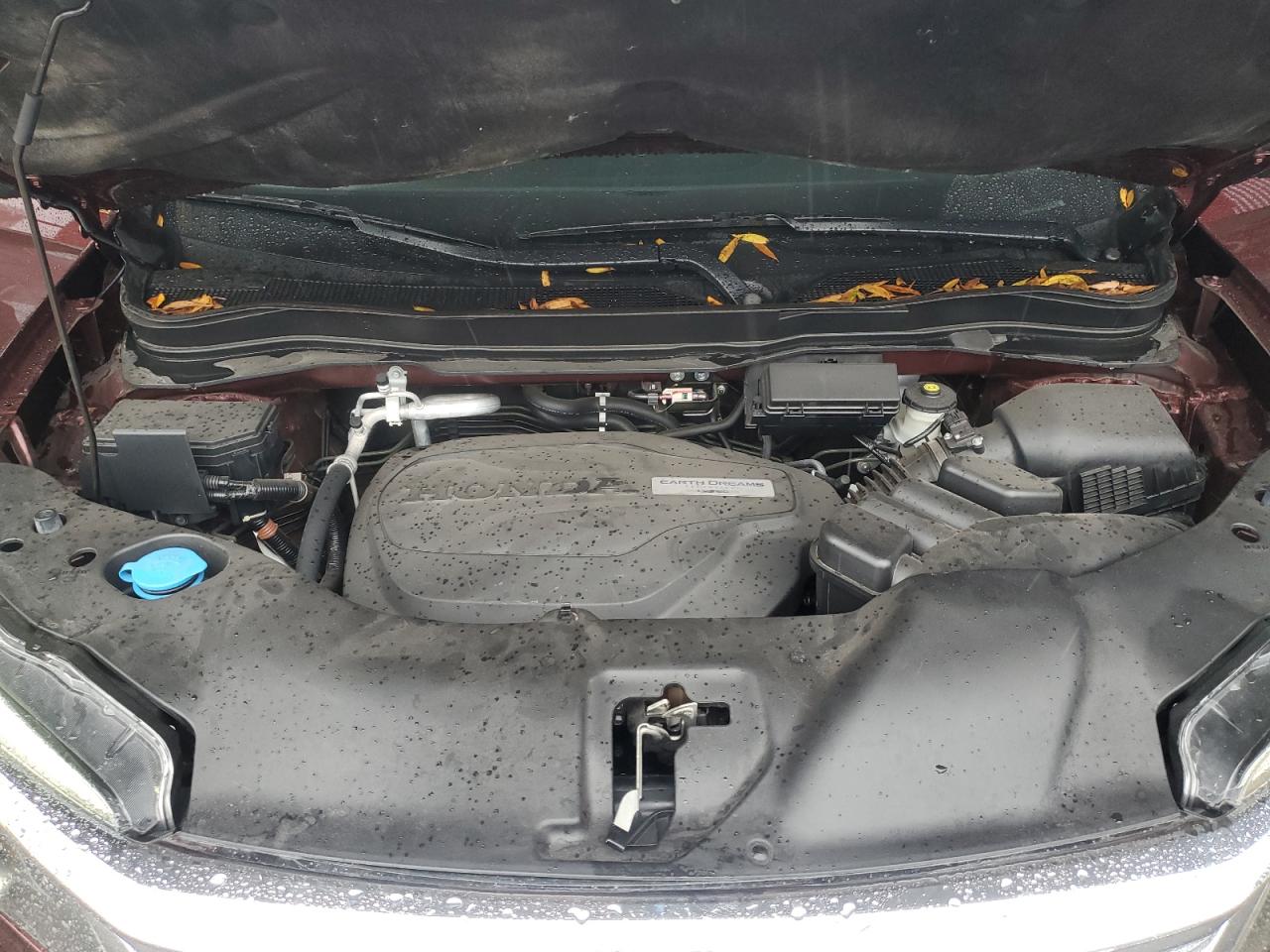 2019 Honda Pilot VIN 5FNYF5H53KB024439 Copart auction photo, side damage thumbnail 12
