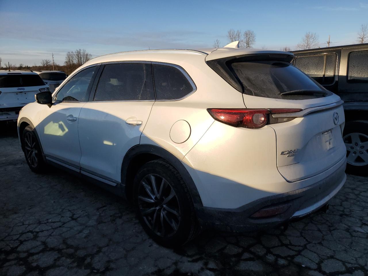 2016 Mazda CX-9 VIN JM3TCBDY2G0116253 Copart auction photo, hail damage thumbnail 2
