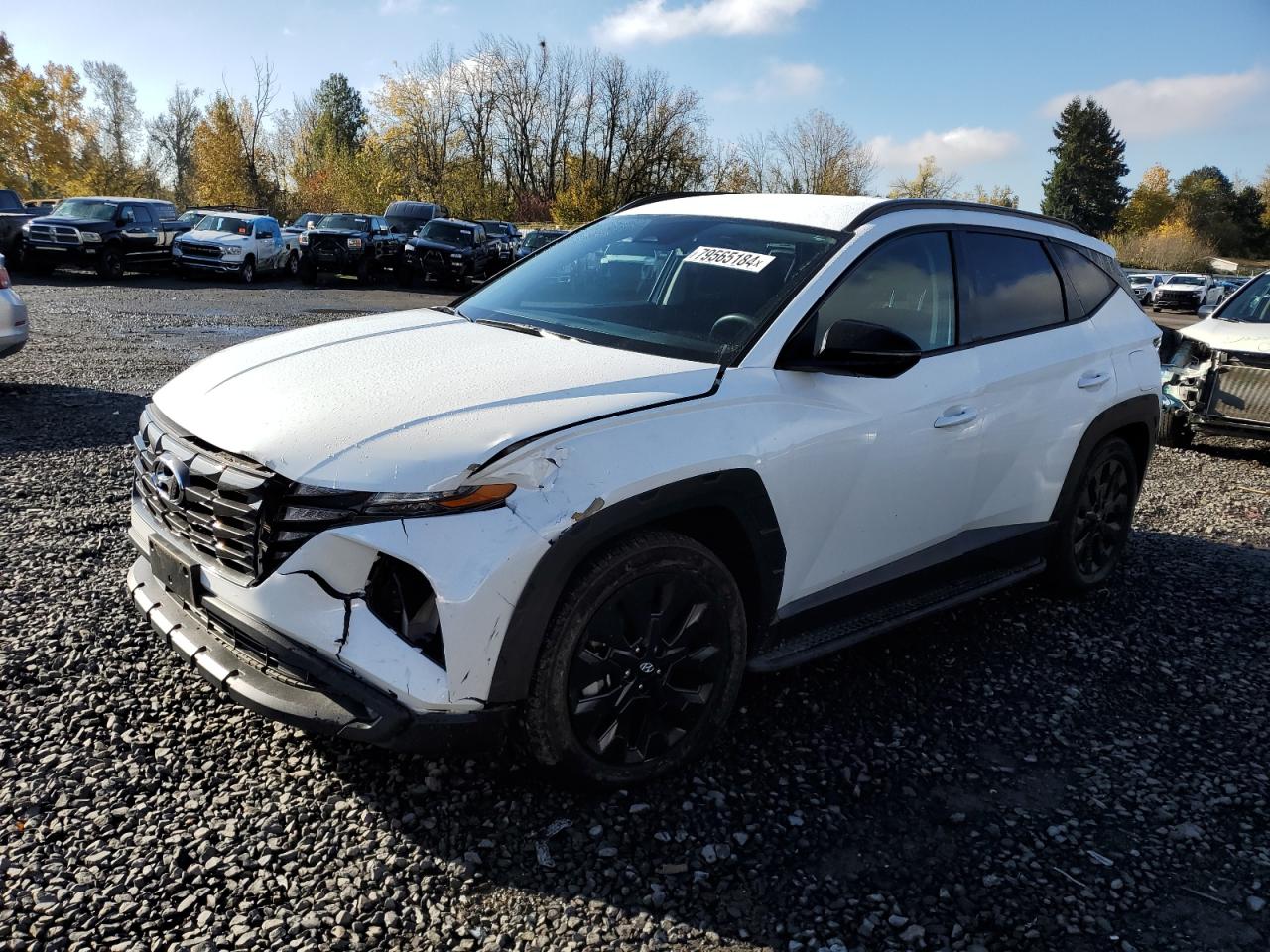 2022 Hyundai Tucson VIN KM8JFCAE2NU087121