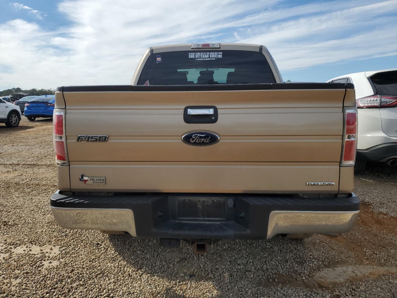 2013 Ford F-150 VIN 1FTFW1EF1DKG48128 Copart auction photo, mechanical damage thumbnail 6