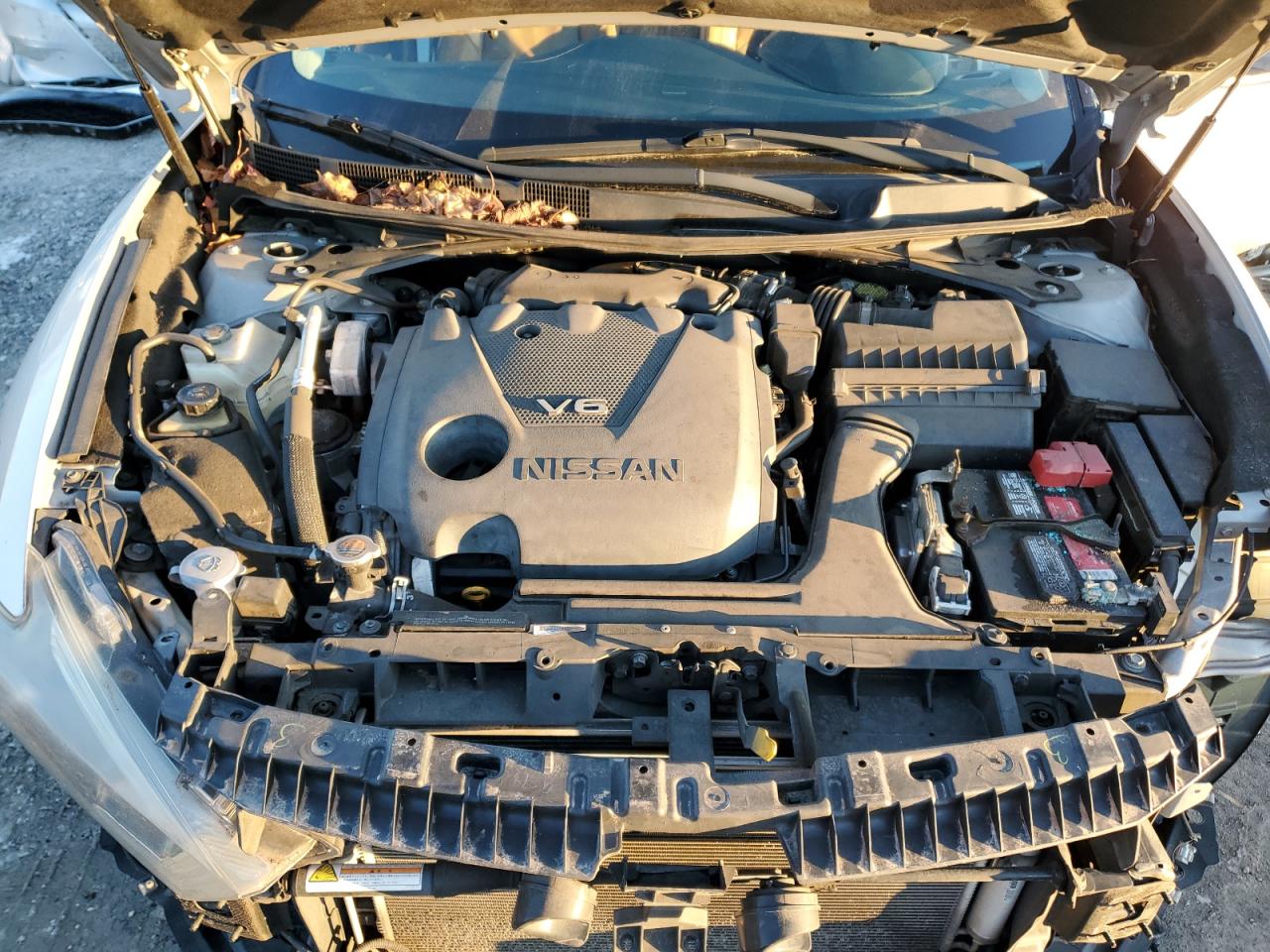 2016 Nissan Maxima VIN 1N4AA6AP8GC432785 Copart auction photo, rejected repair damage thumbnail 11