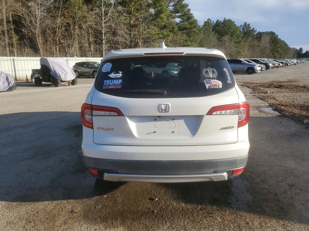 2019 Honda Pilot VIN 5FNYF6H52KB068244 Copart auction photo, side / minor dent/scratches damage thumbnail 6
