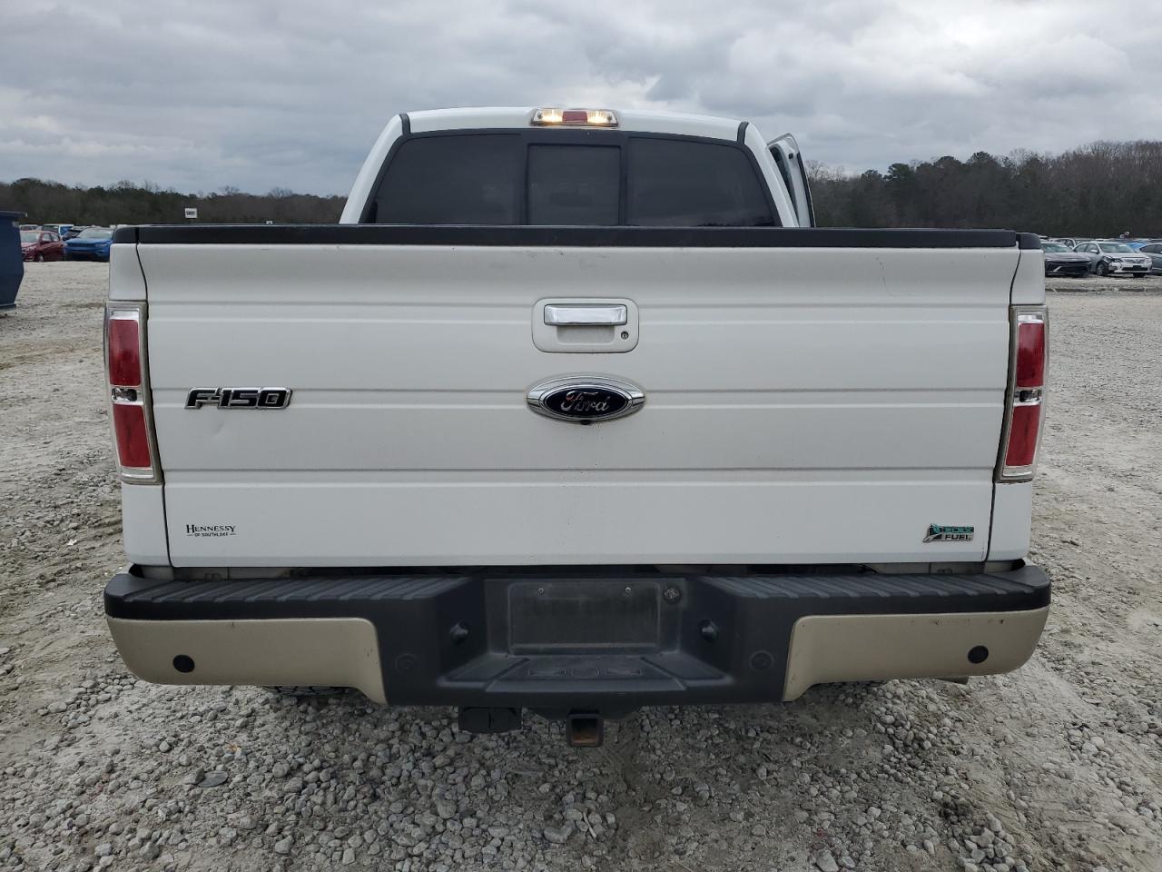 2010 Ford F-150 VIN 1FTFW1EV0AFD74433 Copart auction photo, side damage thumbnail 6