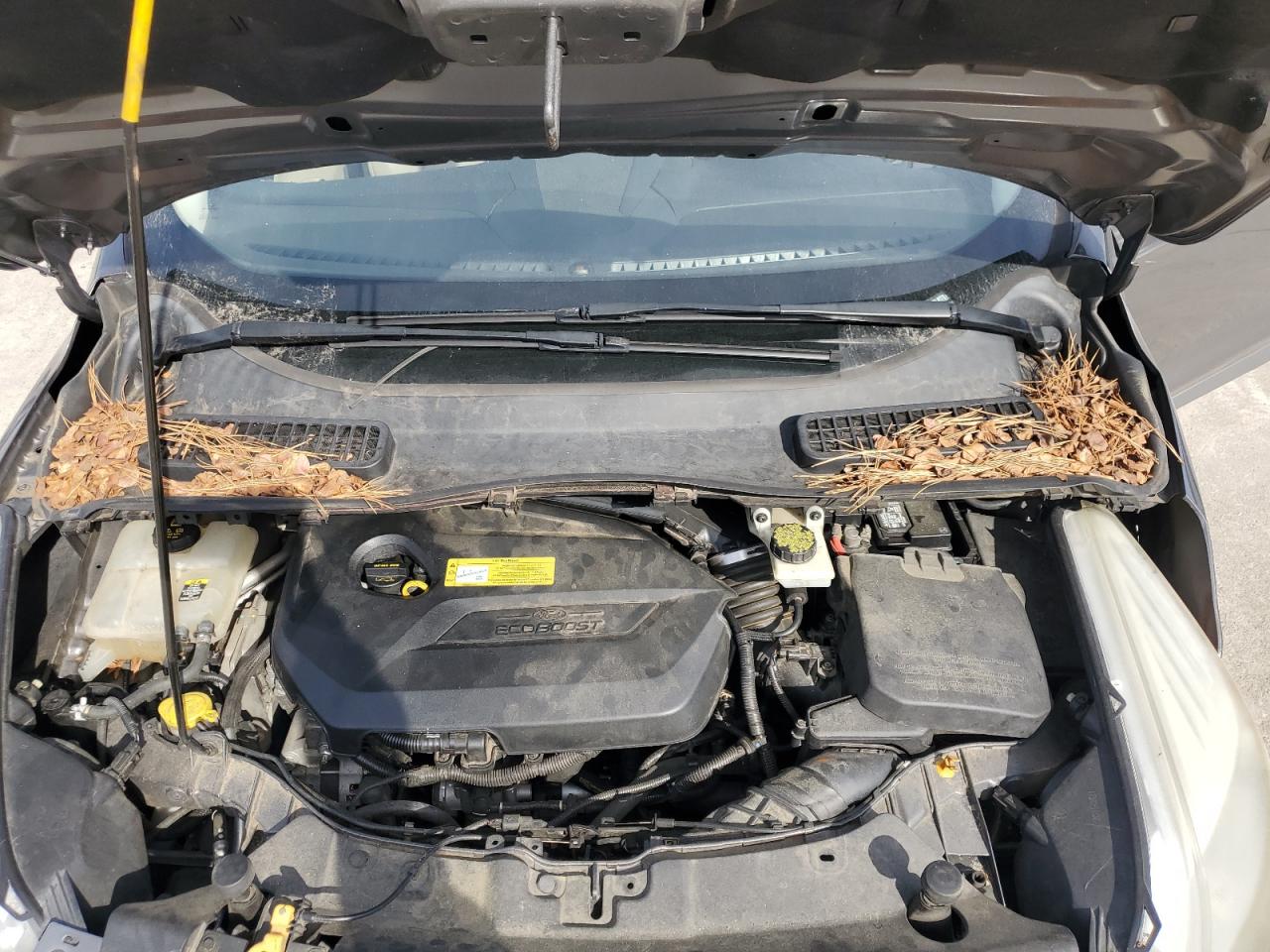 2013 Ford Escape VIN 1FMCU0HX1DUA90823 Copart auction photo, front end damage thumbnail 12