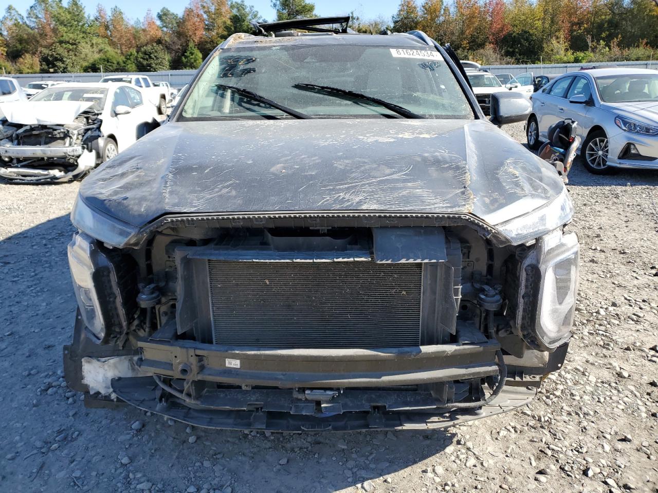 2021 Hyundai Palisade VIN KM8R44HE4MU306065 Copart auction photo, all over damage thumbnail 5