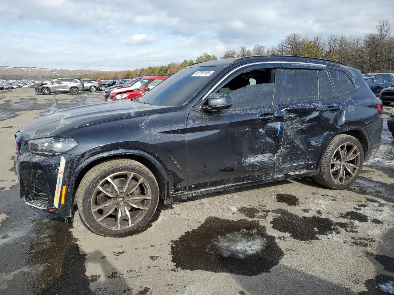 2023 BMW X3 VIN 5UX53DP00P9N94085 - Copart auction photo