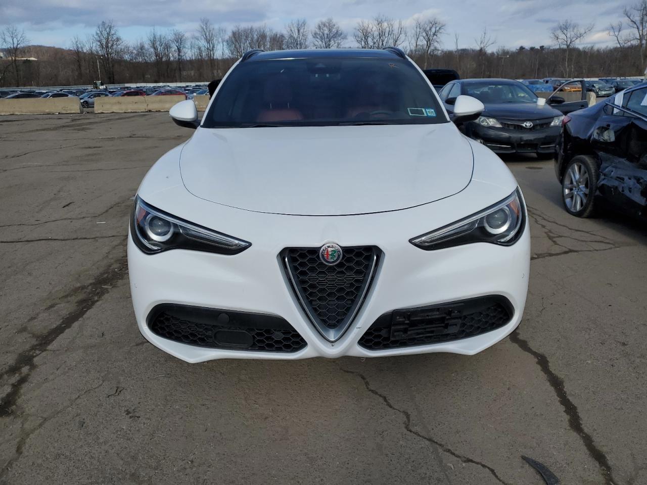 2019 Alfa Romeo Stelvio VIN ZASPAKBN6K7C31762 Copart auction photo, all over damage thumbnail 5