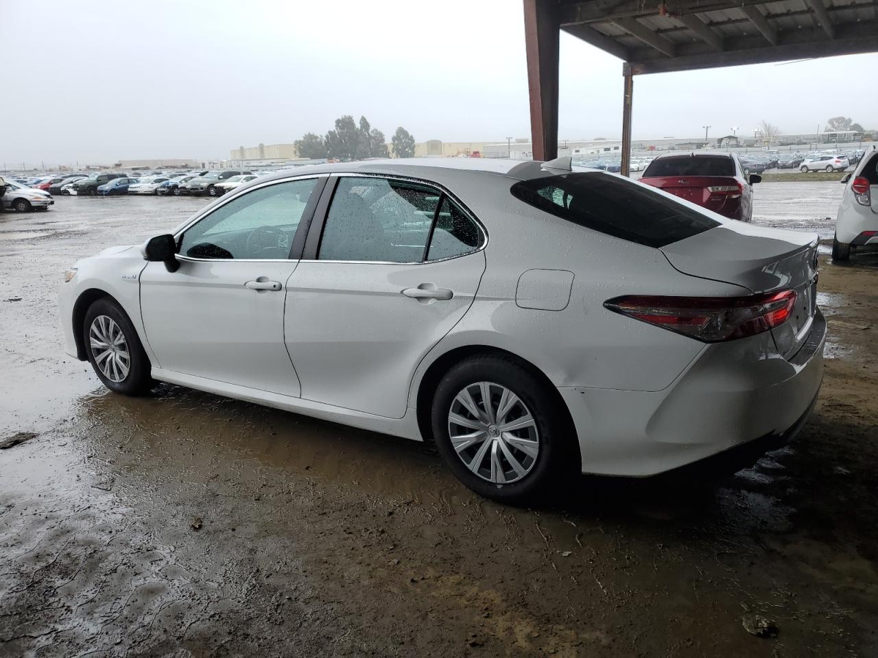 2020 Toyota Camry VIN 4T1C31AK3LU529137 Copart auction photo, rear end damage thumbnail 2