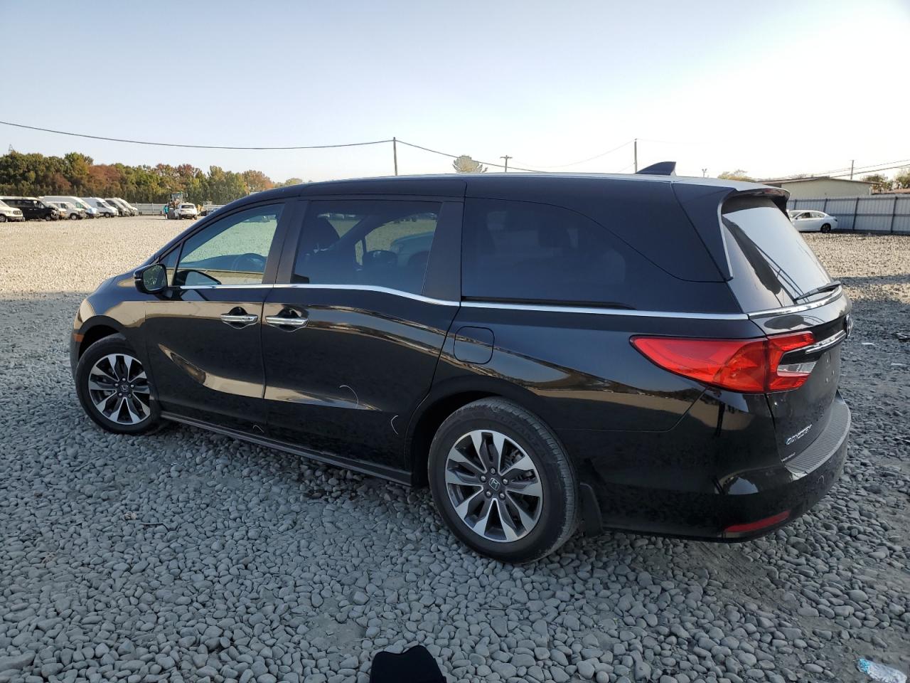 2024 Honda Odyssey VIN 5FNRL6H61RB056117 Copart auction photo, side / rear end damage thumbnail 2