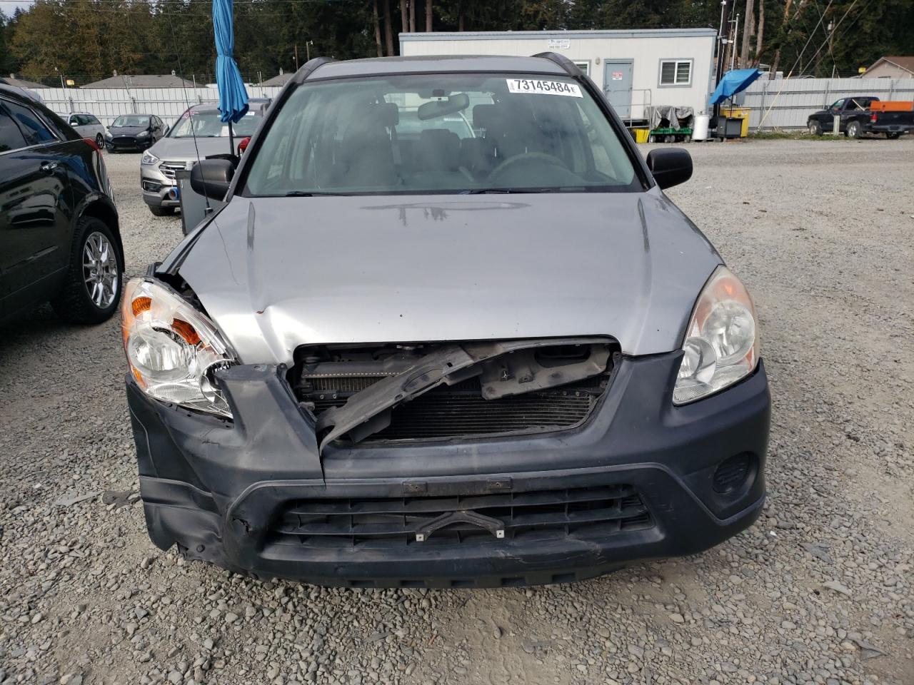 2006 Honda CR-V VIN JHLRD68546C004089 Copart auction photo, front end damage thumbnail 5