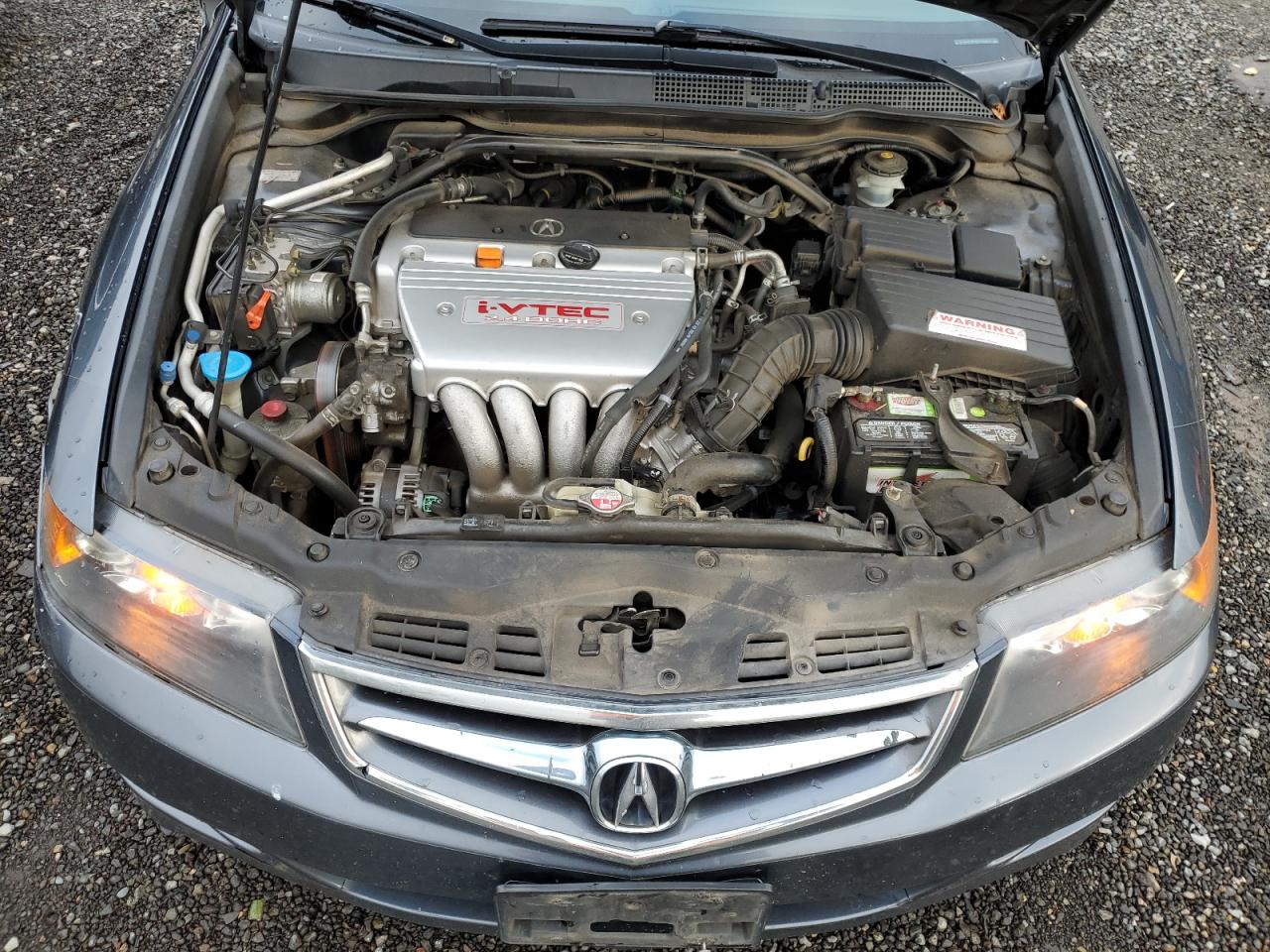 2006 Acura TSX VIN JH4CL96856C016092 Copart auction photo, side damage thumbnail 11