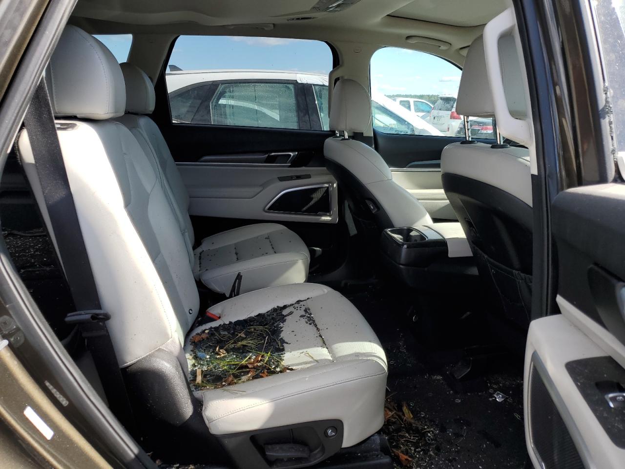 2021 KIA Telluride VIN 5XYP6DHC1MG108081 Copart auction photo, top/roof / side damage thumbnail 11
