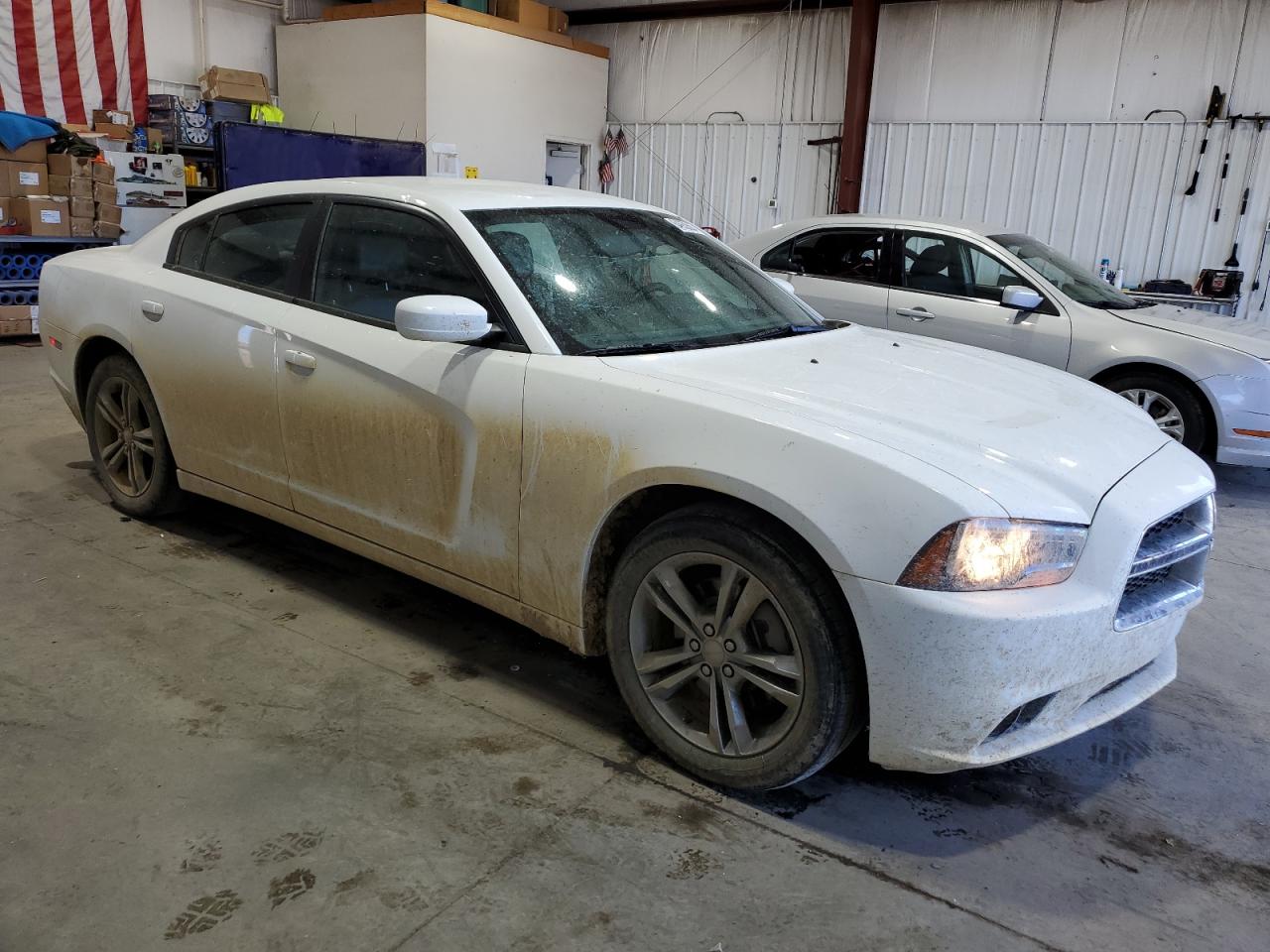 2014 Dodge Charger VIN 2C3CDXJG4EH264500 Copart auction photo, hail damage thumbnail 4