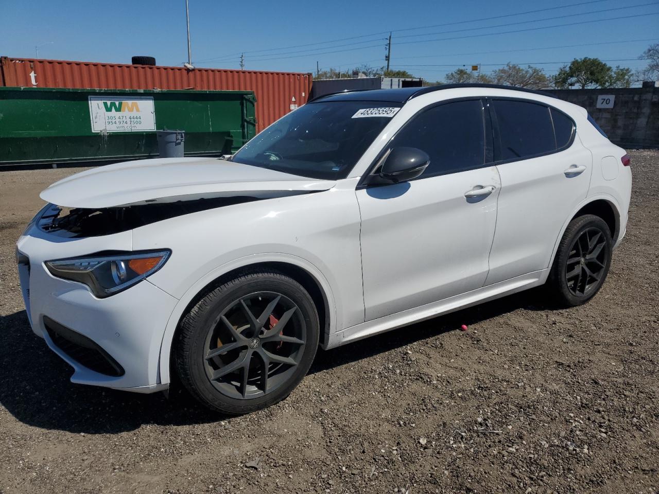 2020 Alfa Romeo Stelvio VIN ZASPAJAN7L7C92406 - Copart auction photo