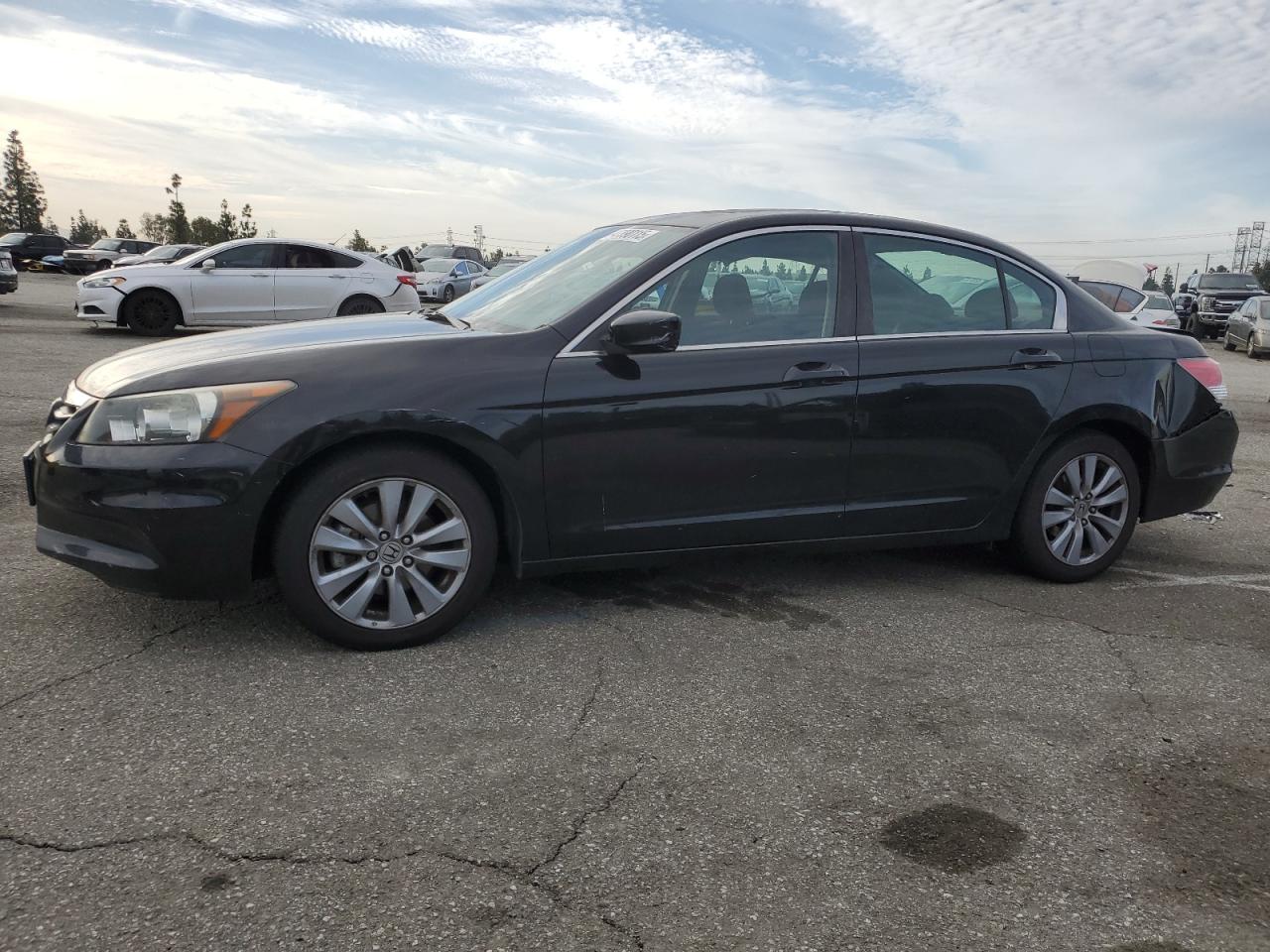 2011 Honda Accord VIN 1HGCP2F71BA091710