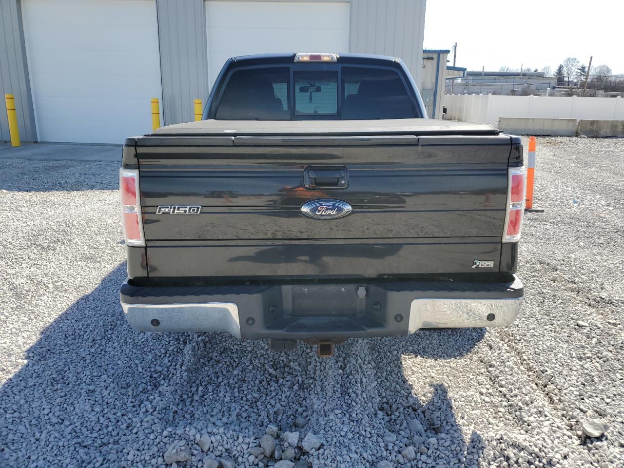 2010 Ford F-150 VIN 1FTFW1EV4AFC16144 Copart auction photo, rear end damage thumbnail 6