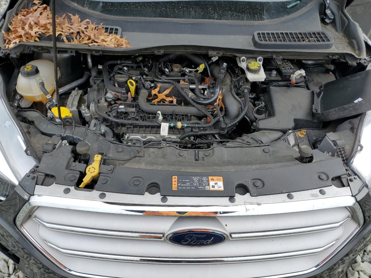 2019 Ford Escape VIN 1FMCU9HD9KUB42111 Copart auction photo, side / front end damage thumbnail 13