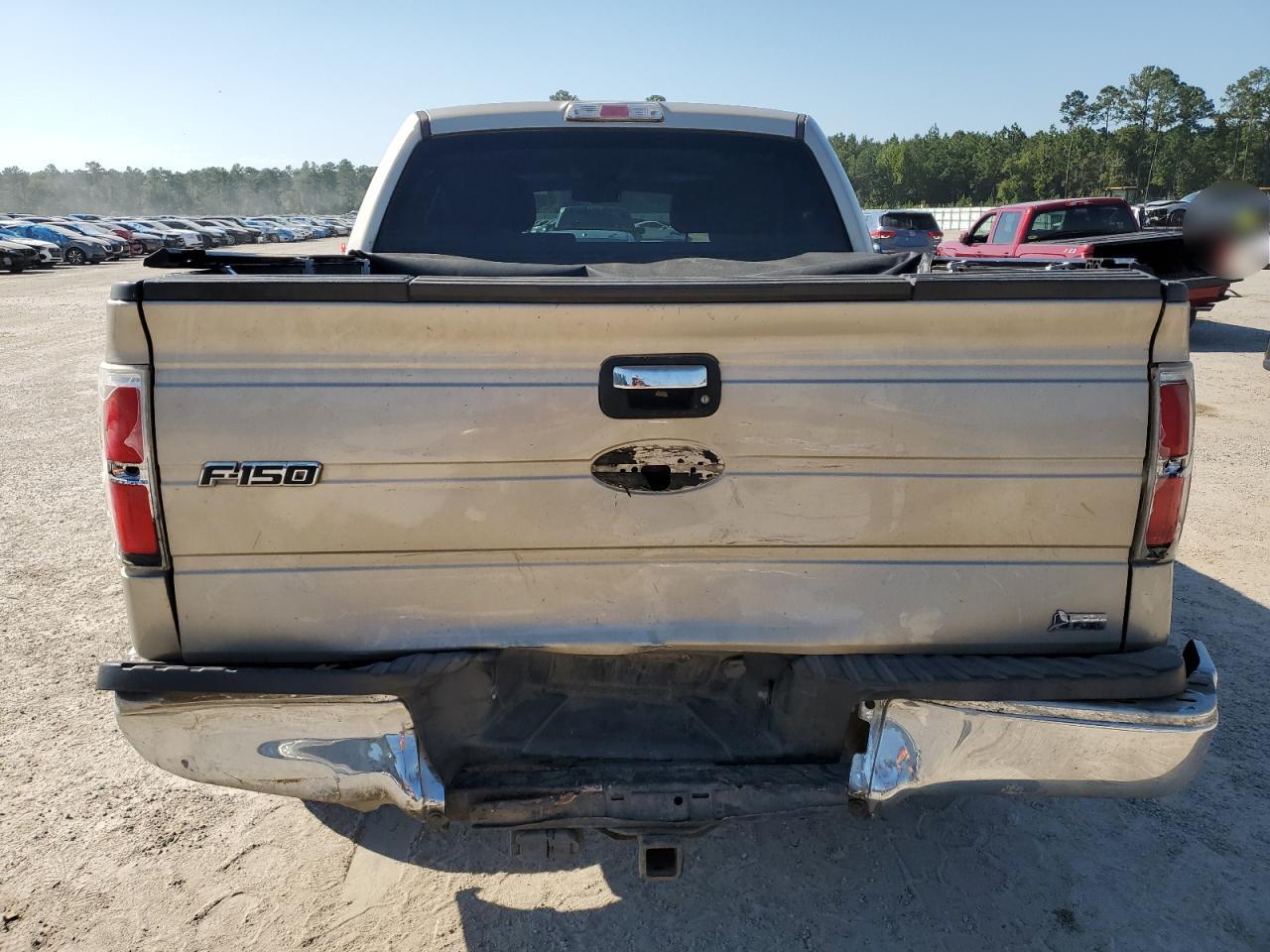 2010 Ford F-150 VIN 1FTFW1CV6AFD61589 Copart auction photo, rear end damage thumbnail 6