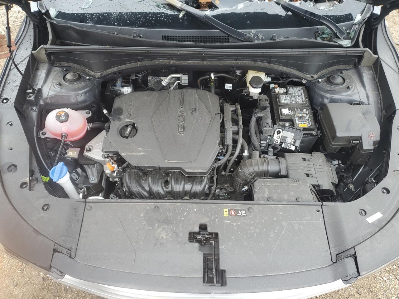 2024 KIA Sorento VIN 5XYRLDJC3RG269275 Copart auction photo, burn - interior / all over damage thumbnail 11