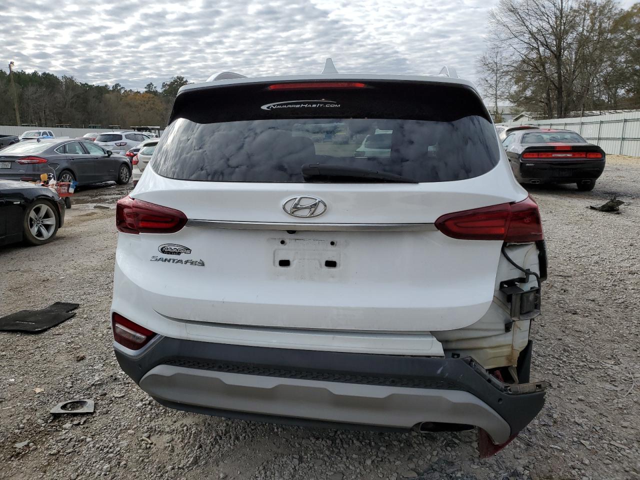 2020 Hyundai Santa Fe VIN 5NMS33AD4LH248968 Copart auction photo, rear end damage thumbnail 6