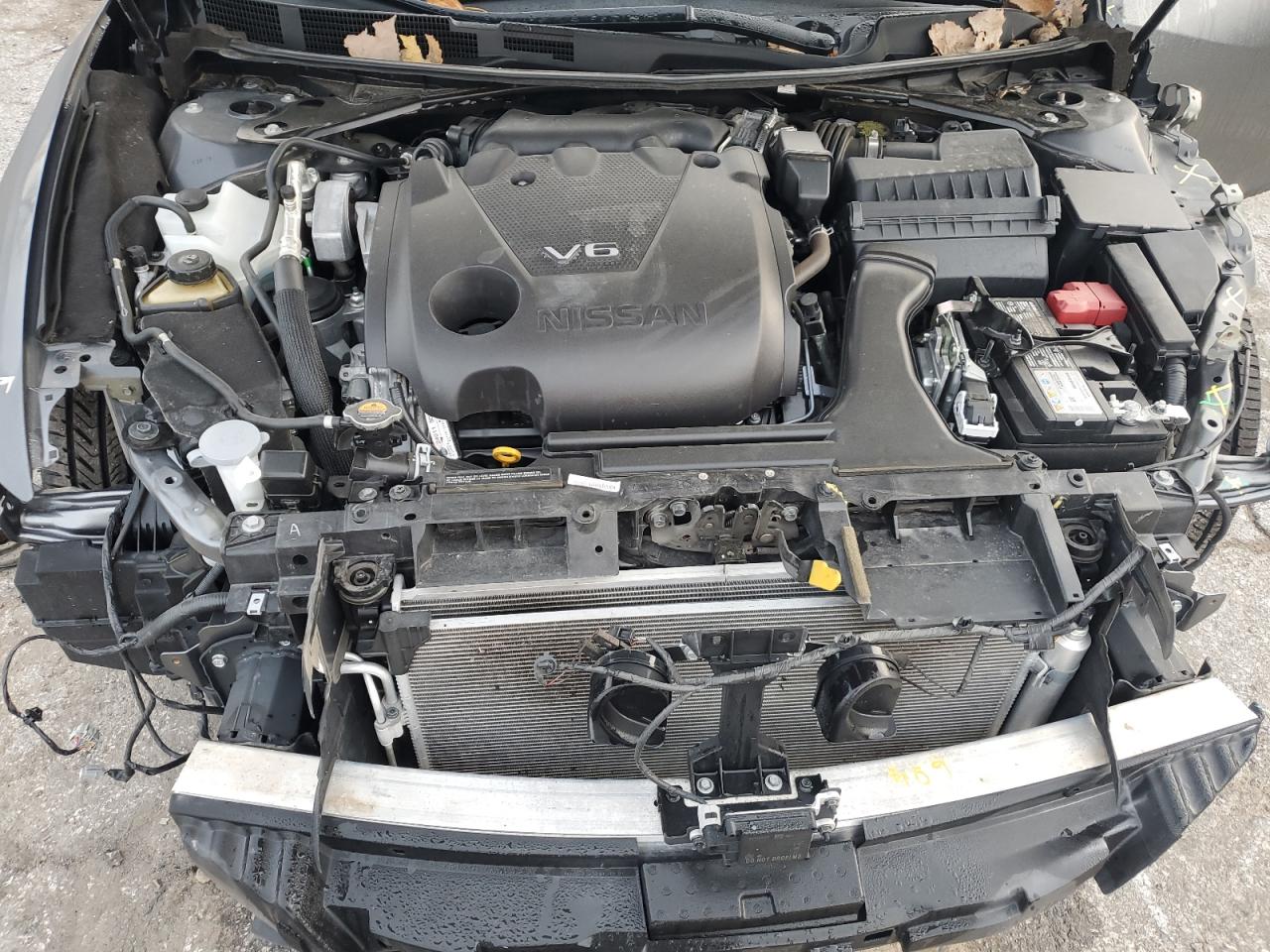 2021 Nissan Maxima VIN 1N4AA6EV0MC507869 Copart auction photo, front end / undercarriage damage thumbnail 11