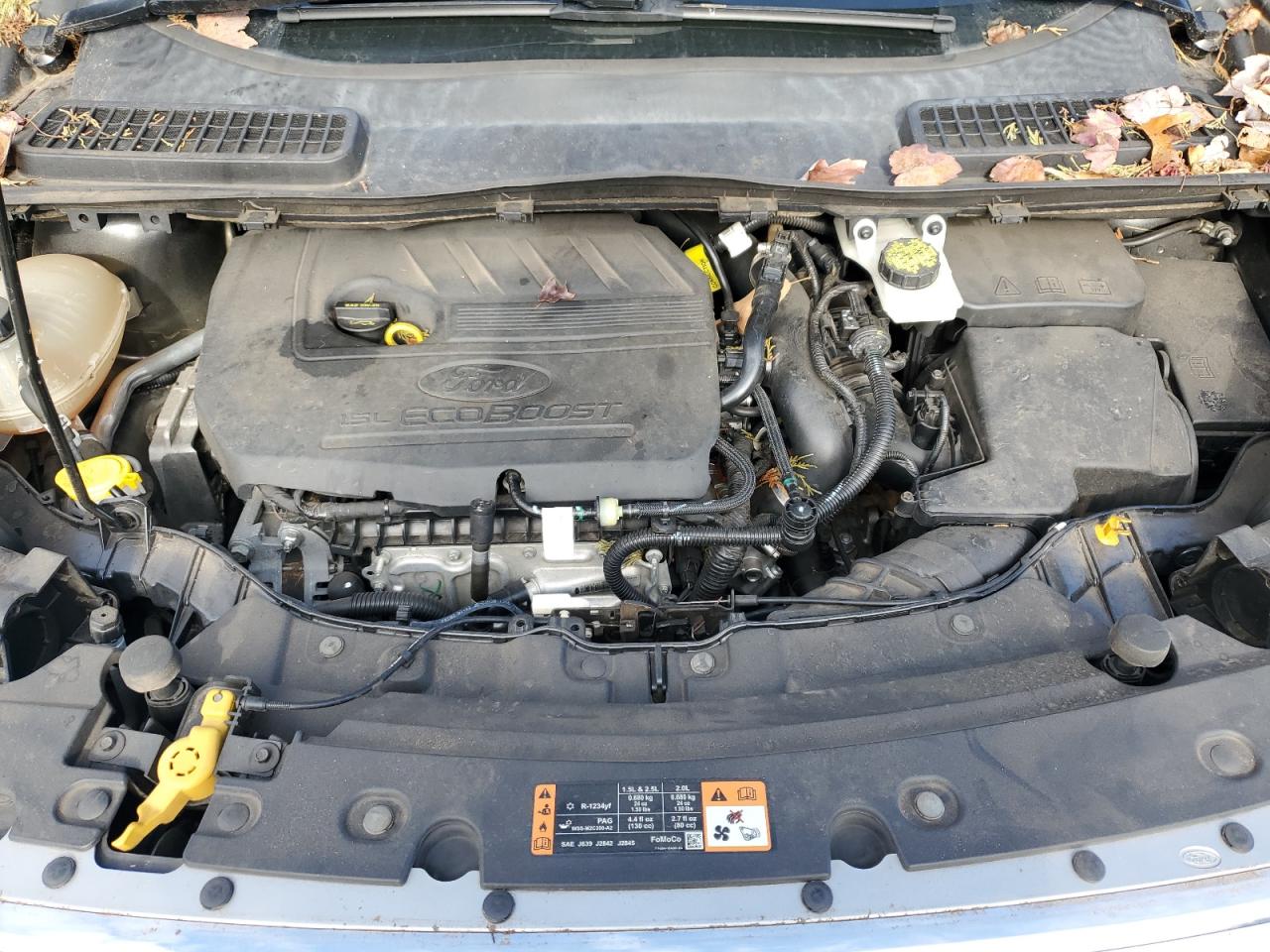 2017 Ford Escape VIN 1FMCU0GD4HUA45744 Copart auction photo, rear end damage thumbnail 12