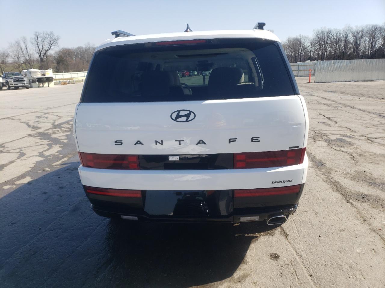 2025 Hyundai Santa Fe VIN 5NMP5DGL3SH105481 Copart auction photo, side / hail damage thumbnail 6