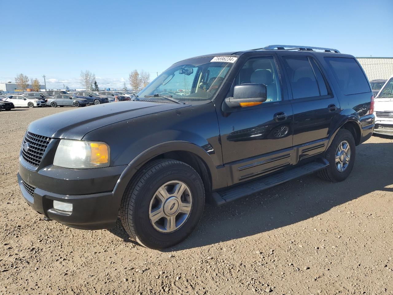 2005 Ford Expedition VIN 1FMFU20555LA70844
