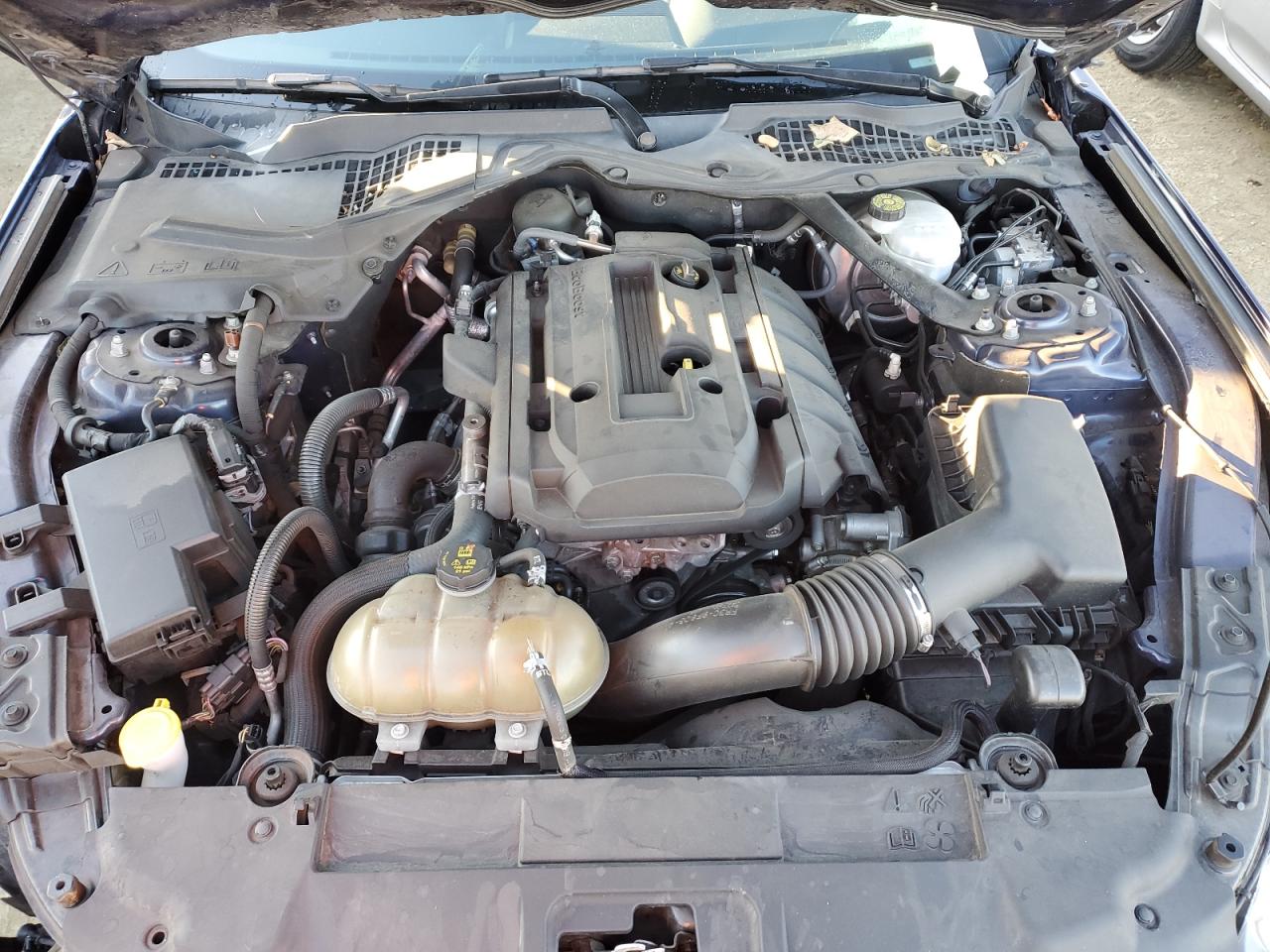 2019 Ford Mustang VIN 1FATP8UH4K5170350 Copart auction photo, front end / minor dent/scratches damage thumbnail 11