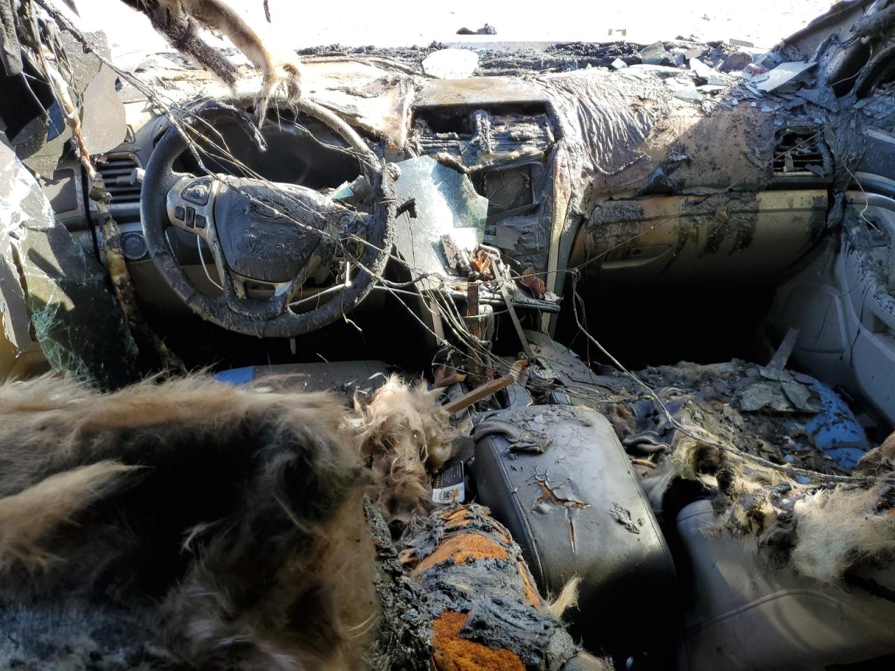 2014 Ford Explorer VIN 1FM5K7D87EGC06810 Copart auction photo, burn / all over damage thumbnail 8