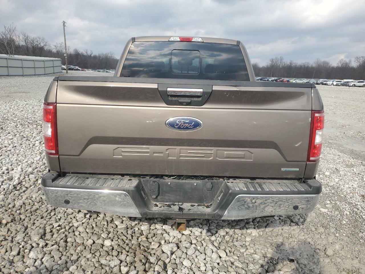 2019 Ford F-150 VIN 1FTEW1EP6KFA93834 Copart auction photo, front end / undercarriage damage thumbnail 6