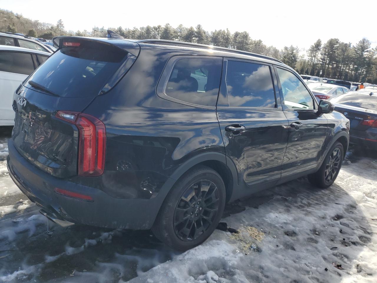 2022 KIA Telluride VIN 5XYP5DHC8NG229890 Copart auction photo, side / rear end damage thumbnail 3