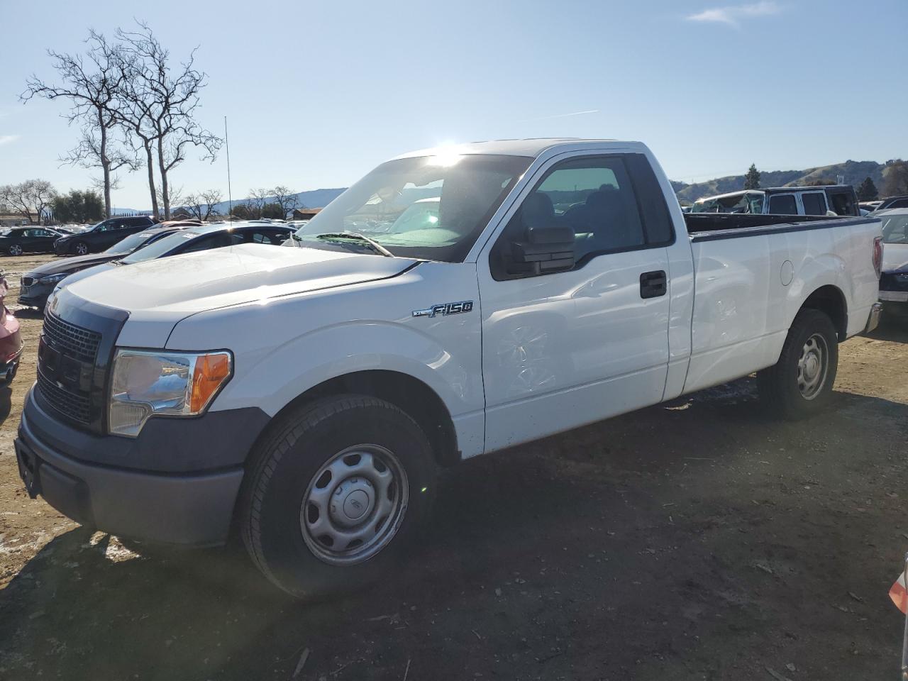 2013 Ford F-150 VIN 1FTMF1CM3DKF67401