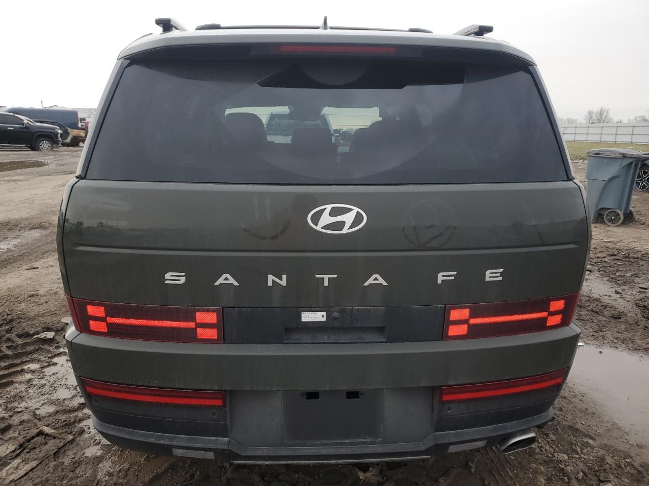 2025 Hyundai Santa Fe VIN 5NMP24GL3SH103934 Copart auction photo, side / minor dent/scratches damage thumbnail 6