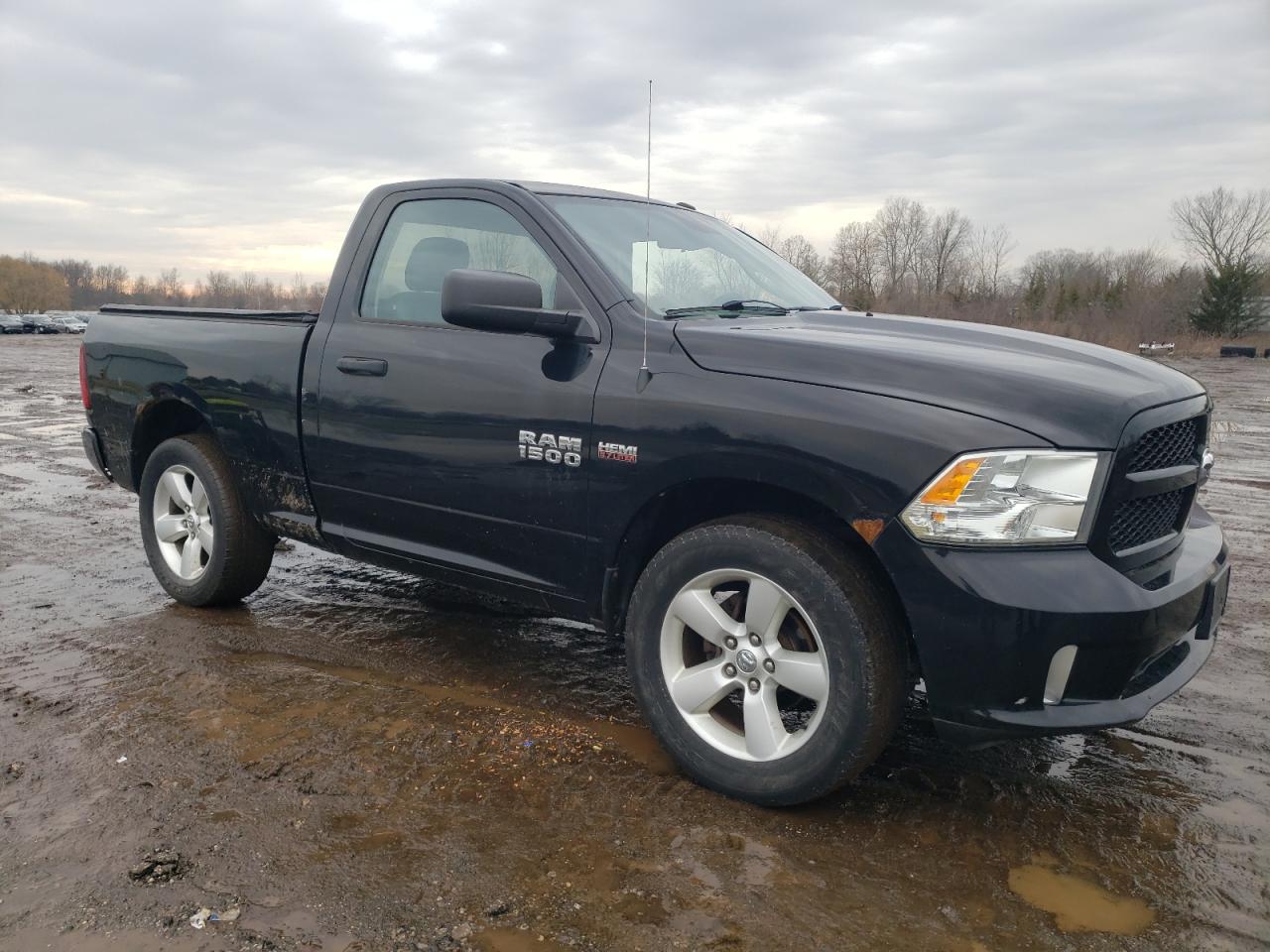 2014 RAM 1500 VIN 3C6JR7AT0EG259805 Copart auction photo, side / rear end damage thumbnail 4