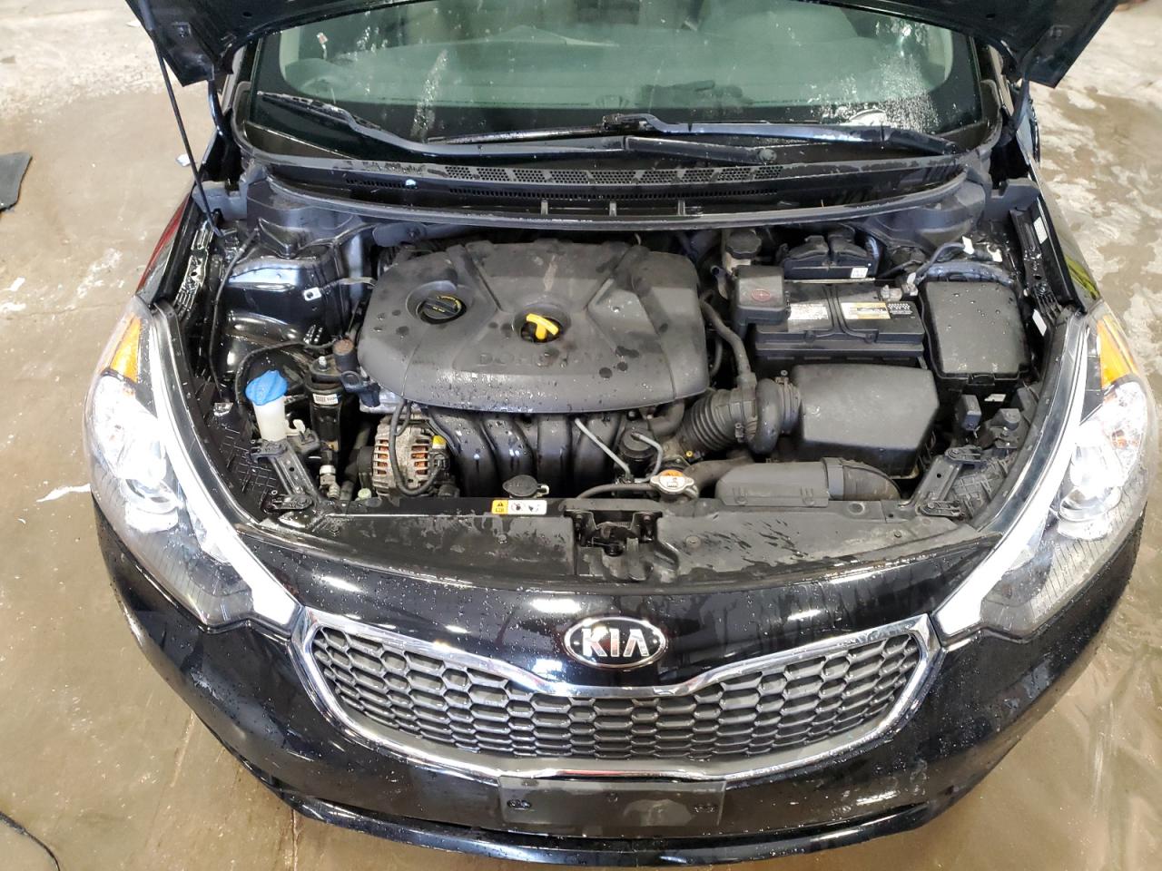 2016 KIA Forte VIN KNAFK4A62G5464559 Copart auction photo, side damage thumbnail 11