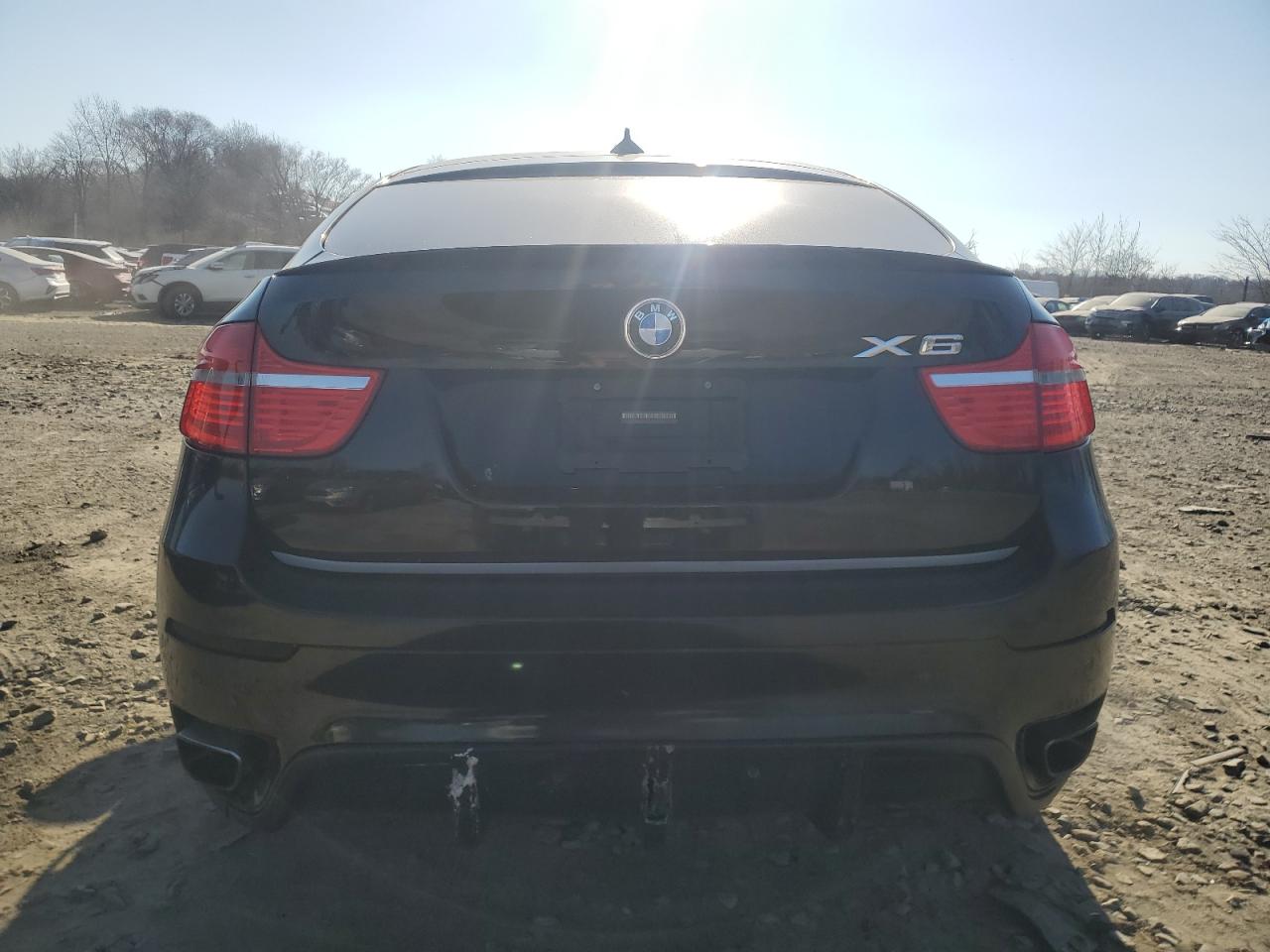 2010 BMW X6 VIN 5UXFG4C52AL225782 Copart auction photo, minor dent/scratches damage thumbnail 6